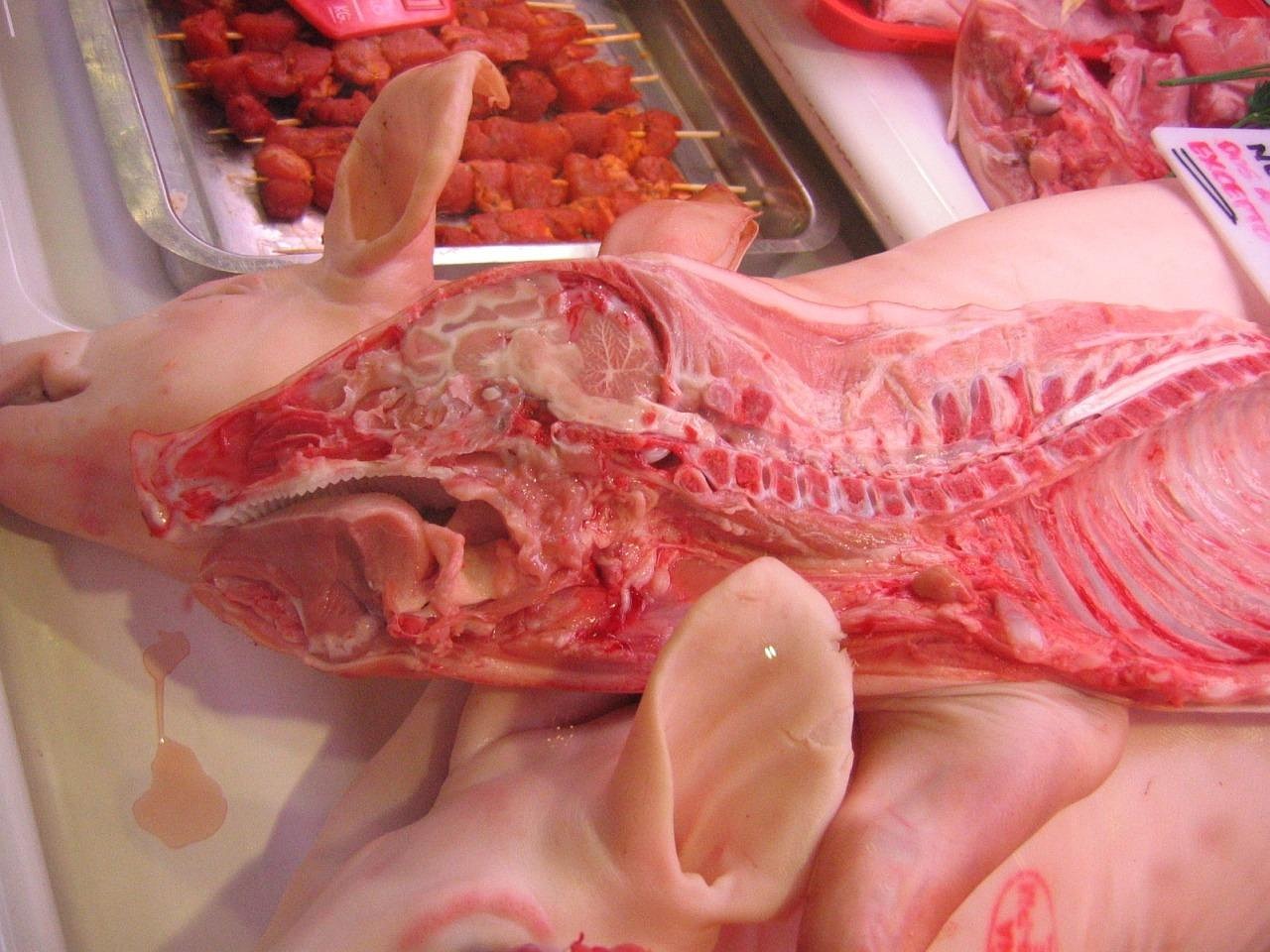 Cerdo fresco