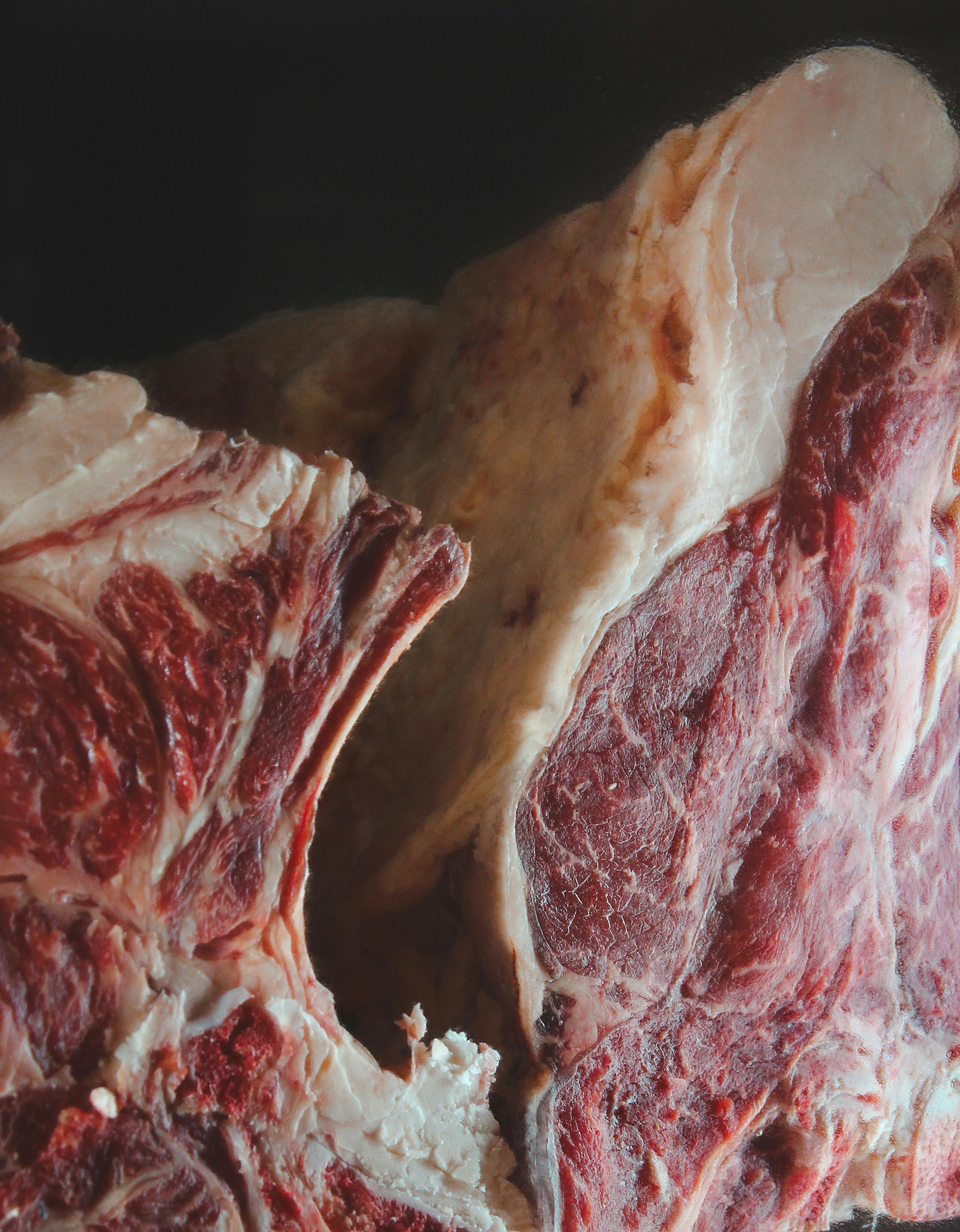 Carnes Premium USA