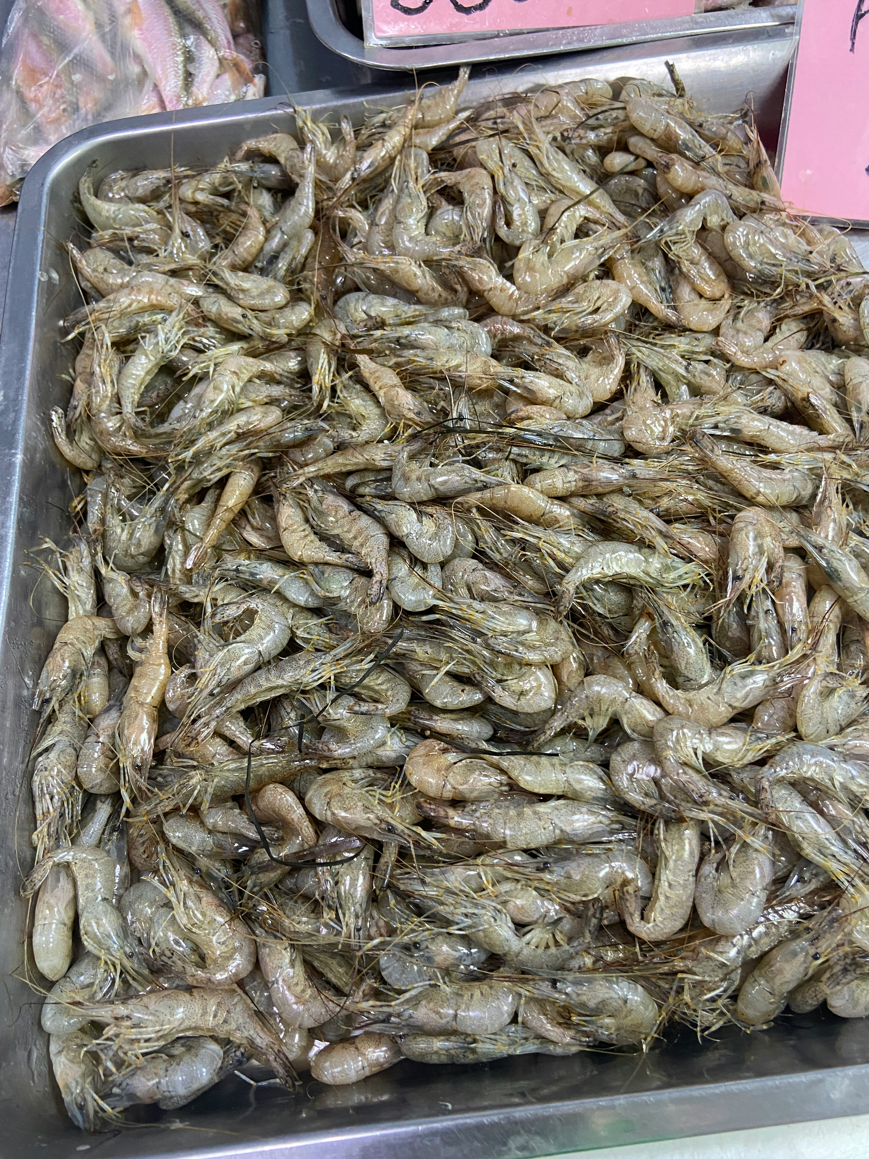 Mariscos de Alta Calidad